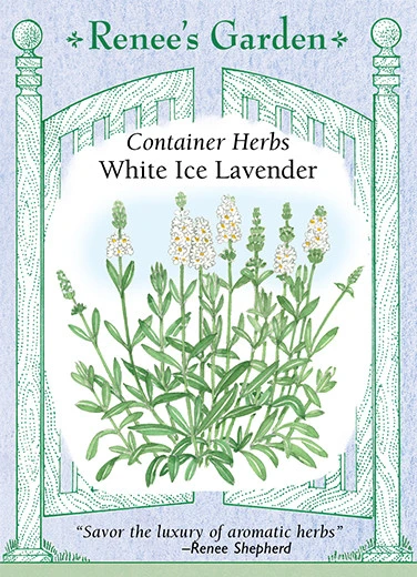 RG Lavender White Ice 